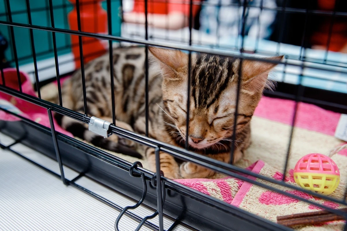 AdobeStock_206104469